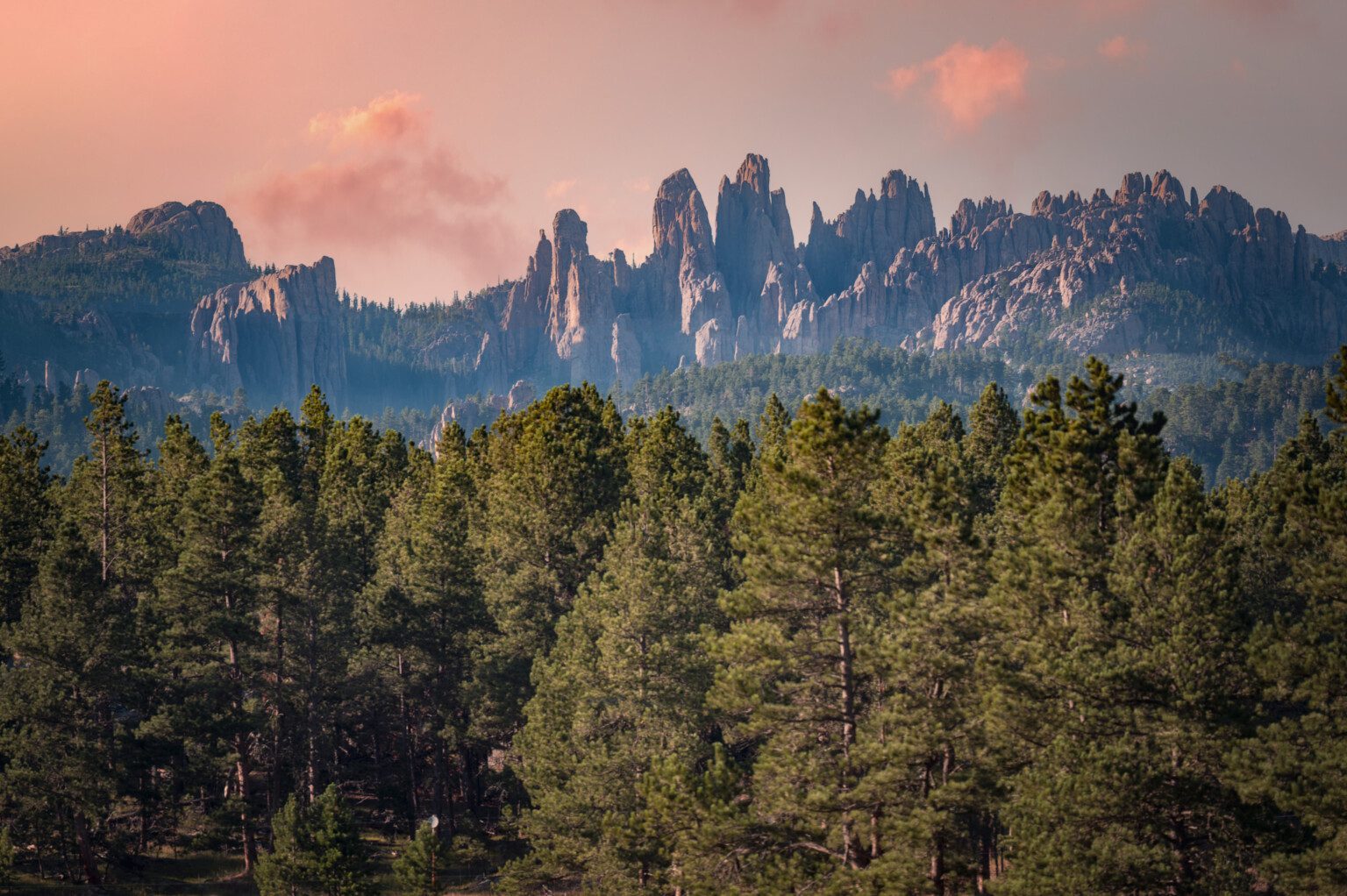 Black Hills Bungalows photo 4