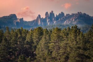 Black Hills Bungalows photo 2