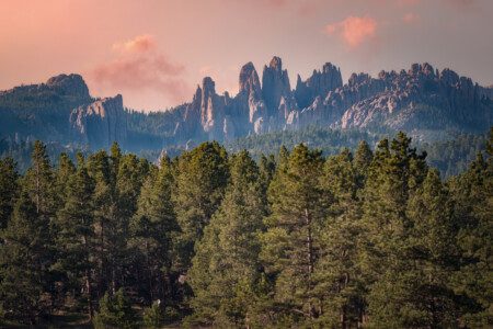 Black Hills Bungalows photo 6